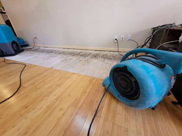 Professional Water Damage Repair technician working in Descanso, CA